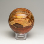 Petrified Wood Sphere + Acrylic Stand