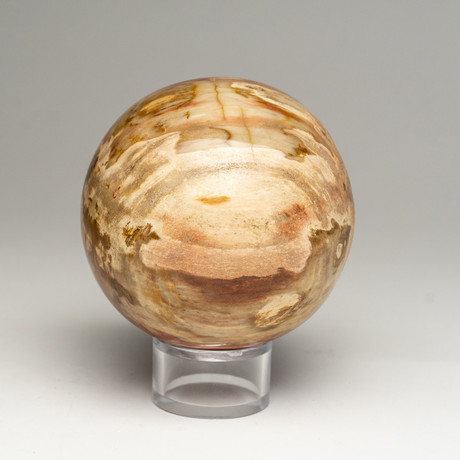 Petrified Wood Sphere + Acrylic Stand