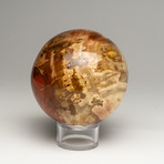 Petrified Wood Sphere + Acrylic Stand