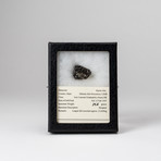 Sikote-Alin Meteorite + Display Box