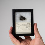 Sikote-Alin Meteorite + Display Box