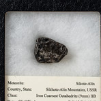 Sikote-Alin Meteorite + Display Box