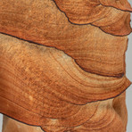 Sandstone Freeform