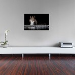 Peek A Boo (18"W x 12"H x 0.75"D)