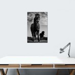 Dartmoor Ponies II (12"W x 18"H x 0.75"D)