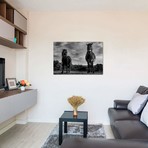 Dartmoor Ponies I (18"W x 12"H x 0.75"D)