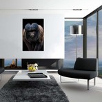 Inquisitive (12"W x 18"H x 0.75"D)