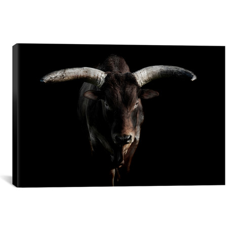 Ankole Cattle (18"W x 12"H x 0.75"D)