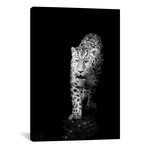 In To The Light (12"W x 18"H x 0.75"D)