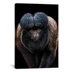 Inquisitive (12"W x 18"H x 0.75"D)