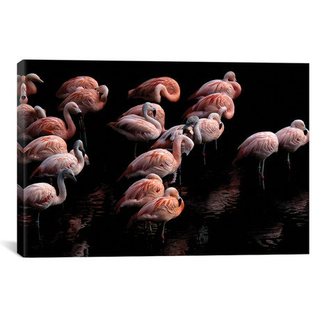 Flamingo (18"W x 12"H x 0.75"D)