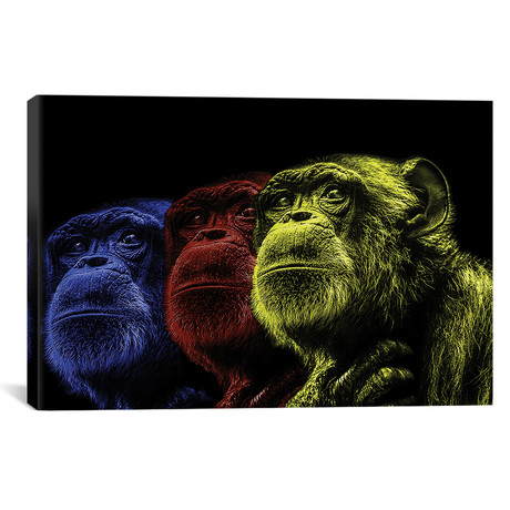 Chimp Colors