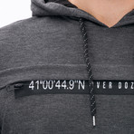 Kangaroo Two-Pocket Hoodie // Gray (Medium)