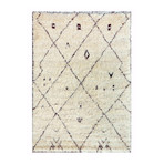 Aleyna Collection // Hand-Knotted // V1 (4'11" X 8' 2" - Area Rug)