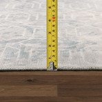 Ranck Collection // Hand-Loomed Area Rug // V1 (6' 0" X 9' 0")