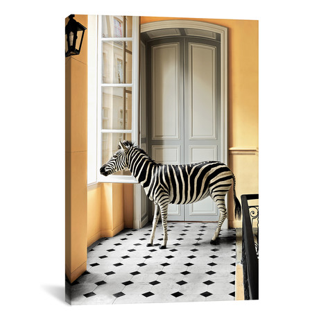 Deyrolle: Zebra At Window Version #1 (12"W x 18"H x 0.75"D)