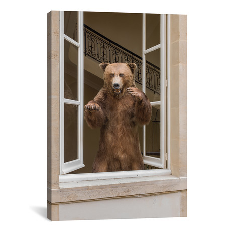 Grizzley Bear Looking Through A Window (12"W x 18"H x 0.75"D)