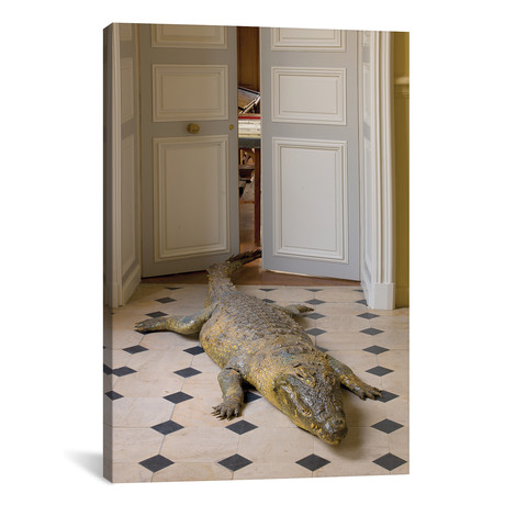 Deyrolle: Crocodile At Doorway (12"W x 18"H x 0.75"D)