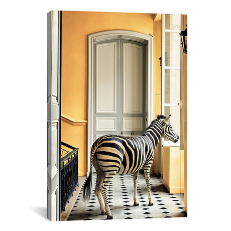 Deyrolle: Zebra At Window Version #2 (12"W x 18"H x 0.75"D)