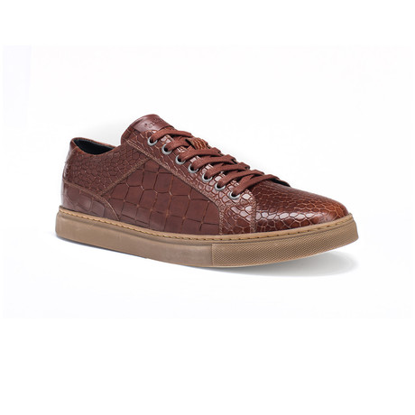 Bernardo II // Cognac (US: 8)