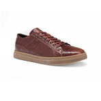 Bernardo II // Cognac (US: 12)