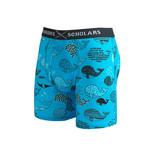 Whale Cotton Softer Than Cotton Boxer Brief // Blue (S)