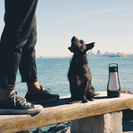 Poochables (Industrial Gray)