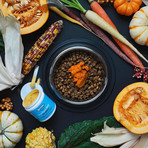 Bristly Pro Flora Max Food Enhancer