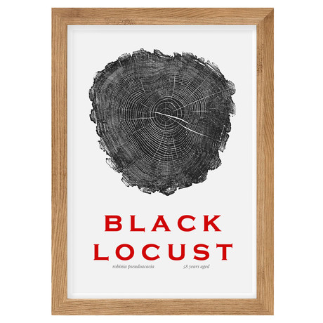 Locust // White Poster