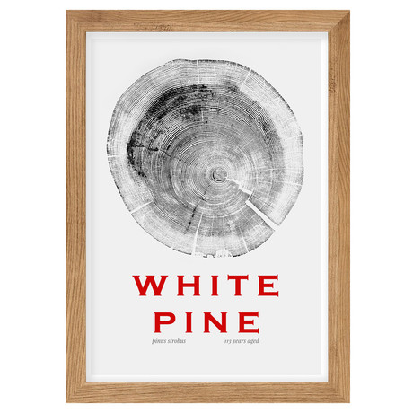 White Pine // White Poster