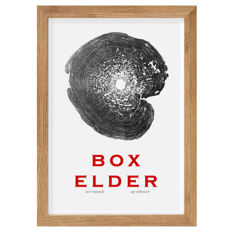Box Elder // White Poster