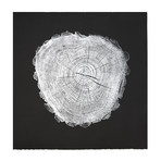 Locust // Black Paper