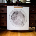 White Pine // White Paper