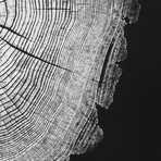 Locust // Black Paper