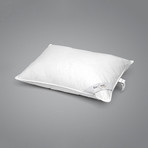 Enchante Home Pillow // Medium (Queen)
