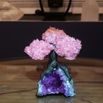 Tree of Love // Rose Quartz Petals on an Amethyst Matrix // Ver. I