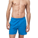 Dolphin Swim Trunks // Blue + White (Small)