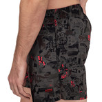 Grenada Swim Trunks // Gray + Red (Small)