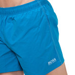 Perch Swim Trunks // Blue (Small)