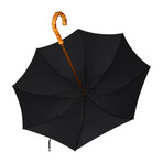 Whanghee Handle + 24" Frame Umbrella // Black