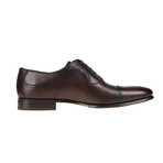 San Antonio Oxford Shoe // Brown (Euro: 42)