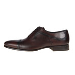 San Antonio Oxford Shoe // Brown (Euro: 45)