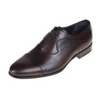 San Antonio Oxford Shoe // Brown (Euro: 43)
