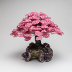 The Love Tree // Rose Quartz Clustered Gemstone Tree + Amethyst Druzy Crystal Matrix