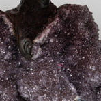 The Love Tree // Rose Quartz Clustered Gemstone Tree + Amethyst Druzy Crystal Matrix