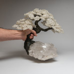 White Quartz Clustered Gemstone Tree + Clear Quartz Crystal Matrix
