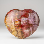 Petrified Wood Heart + Acrylic Display Stand