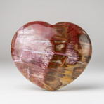 Petrified Wood Heart + Acrylic Display Stand