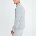 Alvise Long Sleeve Polo // Gray (Medium)