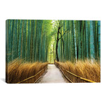 Arashiyama Ancient Bamboo Forest // Susanne Kremer (18"W x 12"H x 0.75"D)